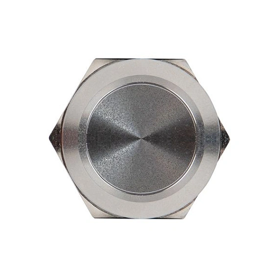 Кнопка EKF S-Pro67; D отверстия= 19 мм; Прочее; с фиксацией; Плоская (-ий); IP67