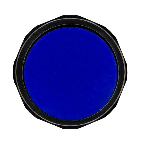 Кнопка EKF SW2C-11; D отверстия= 22 мм; Синий; возвратный; Плоская (-ий); IP54