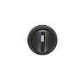 Переключатель EKF SW2C-11X/2; D отверстия= 22 мм; Черный; с фиксацией; 2; IP40